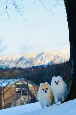 雪降る街