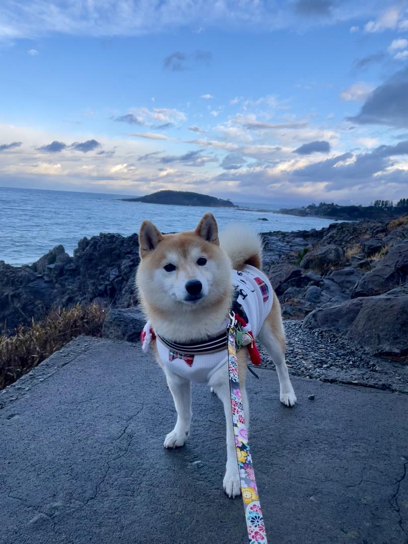 初めての日本海