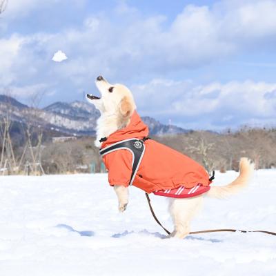 雪ってどんな味？