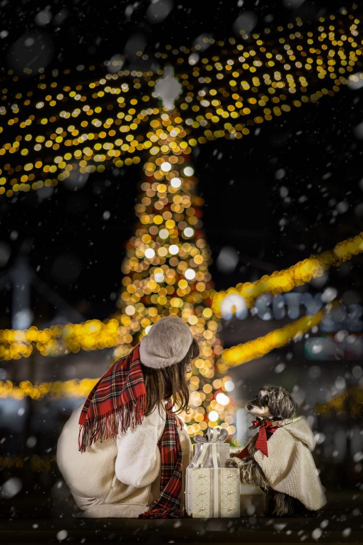 クリスマスの願い