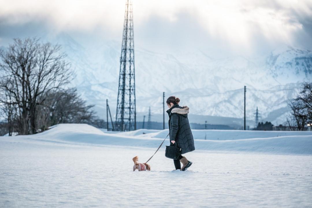 雪国に生きる