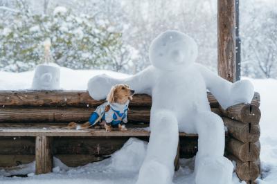 やっと会えたね