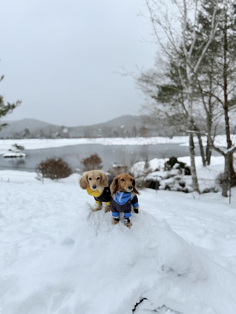 雪遊び