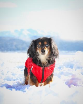 やっぱり雪大好き！