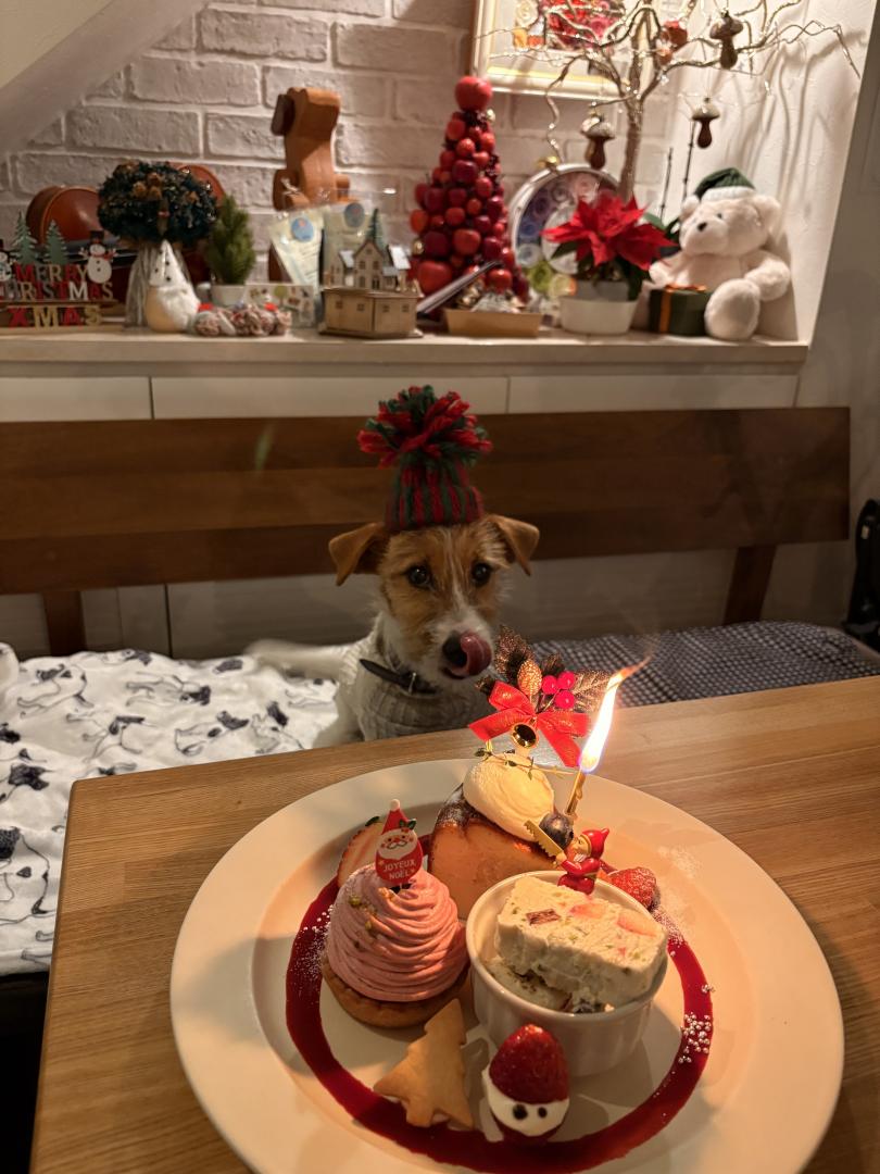 あたしだけのクリスマスケーキ？