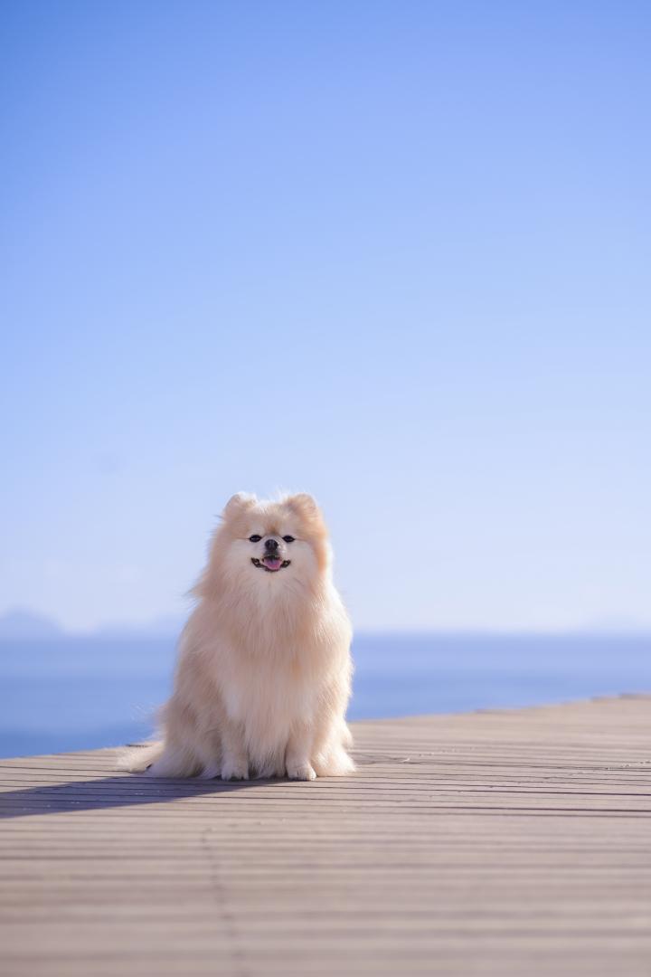 青空と青い海