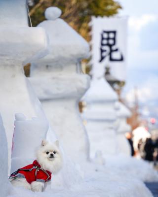 雪灯籠とイチ