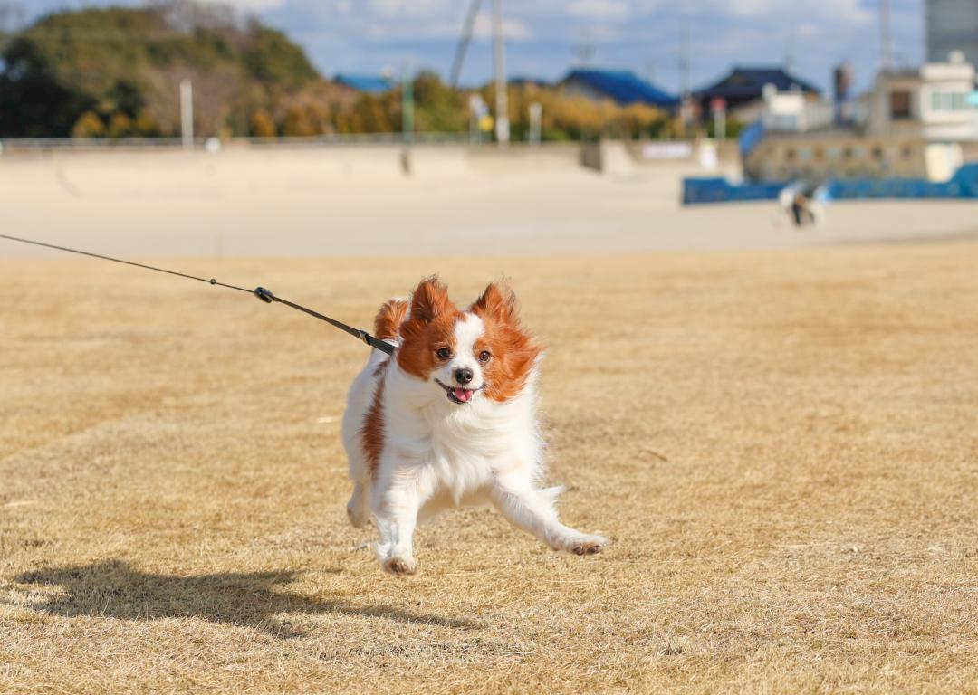 2025年　初走り