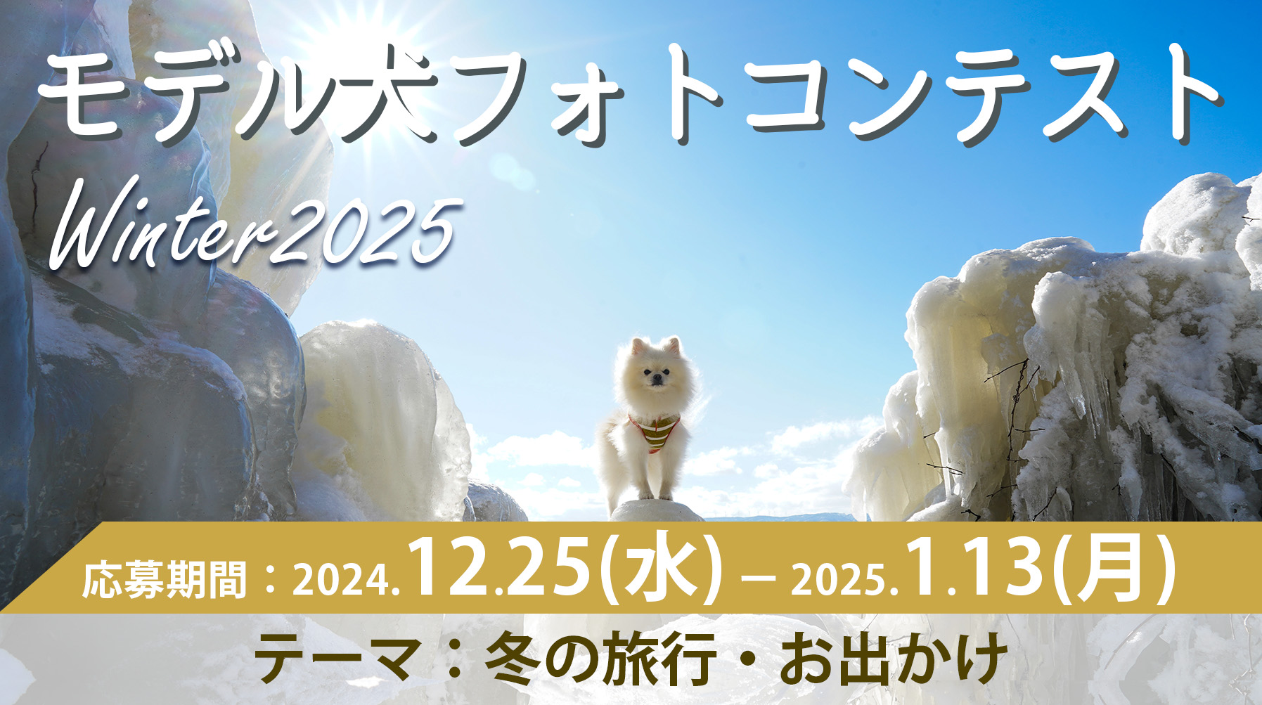 イヌトミィ モデル犬フォトコンテストWinter2025